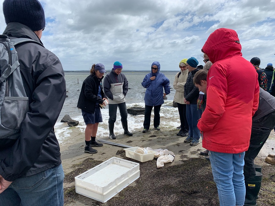 Volunteers at Swan Bay