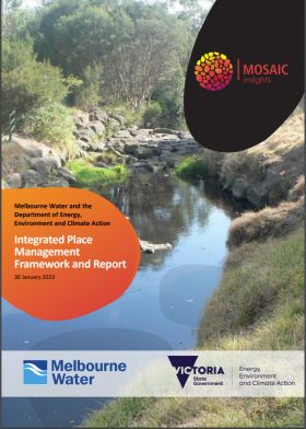 Integrated place management framework and report