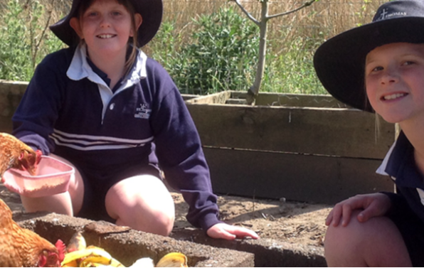 St Thomas Primary School